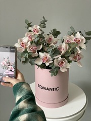 Коробка моно орхидеи