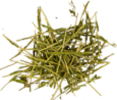 Стеллера карликовая (трава)