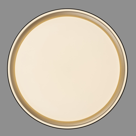 Потолочный светодиодный светильник Citilux Boss CL751251G