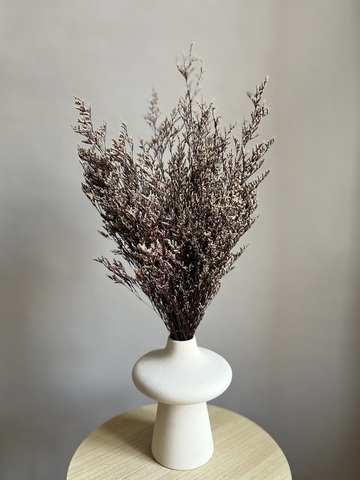 Кермек бело-фиолетовый