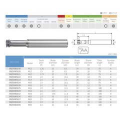 Резьбофреза М16х2,0 (d-витк., UNI) 2xD 52Hrc AlCrN 4F 60° 14х100мм BSKT BSE008S029