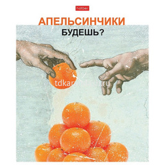 Тетрадь А5 96л клетка 