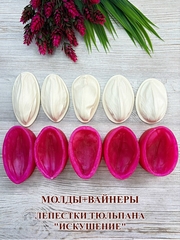 Молды+Вайнеры 