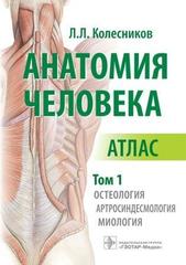 Анатомия человека. Атлас в 3-х томах. Том 1. Остеология, артросиндесмология, миология