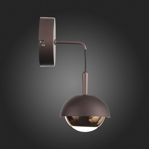 Светильник настенный ST Luce Entolla SL1602.321.01