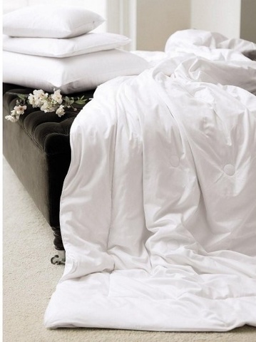 Одеяло шелковое теплое 200х200 Gingerlily