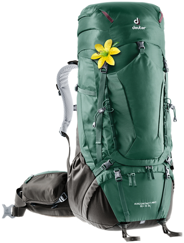 Картинка рюкзак туристический Deuter Aircontact Pro 55+15 SL Seagreen/Coffee - 1