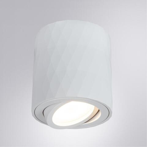 Накладной светильник Arte Lamp FANG A5559PL-1WH
