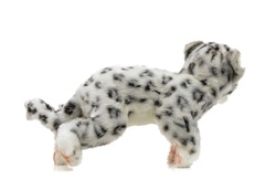 Hansa Мягкая игрушка 