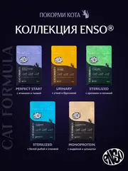 ENSO CF Perfect start сухой корм для котят, беременных и кормящих кошек (ягненок,тыква) 350 гр