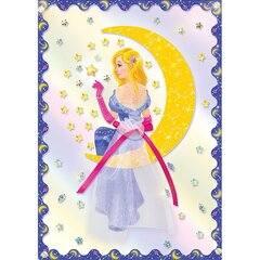 
          Набор для изготовления картины Клевер, 280х70х50 мм, декорирование, пластик, картонная упаковка, "Звездные мечты"