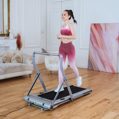 Беговая дорожка Orlauf Owl Silver, Grey, Black.