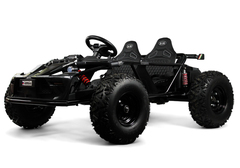 BUGGY A999AA (Двухместный)