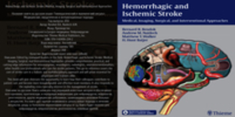 Bendok B.R., Naidech A.M. - Hemorrhagic and Ischemic Stroke. Medical, Imaging, Surgical, and Interventional Approaches / Гемморагический и ишемический инсульт. Медицинские, хирургически и интервенционные подходы