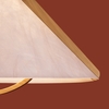 Потолочный светильник Freya Umbra FR5554CL-01T