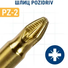 Бита отверточная ПРАКТИКА Эксперт PZ-2 х 50мм Tin (10шт) (036-964)