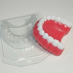 Форма пластиковая Челюсть