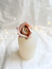 Силиконовая форма 