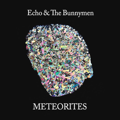 Echo And The Bunnymen / Meteorites (CD+DVD)