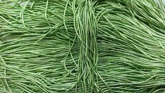 Фигурная канитель "Бамбук" фисташка глянец 1.9мм