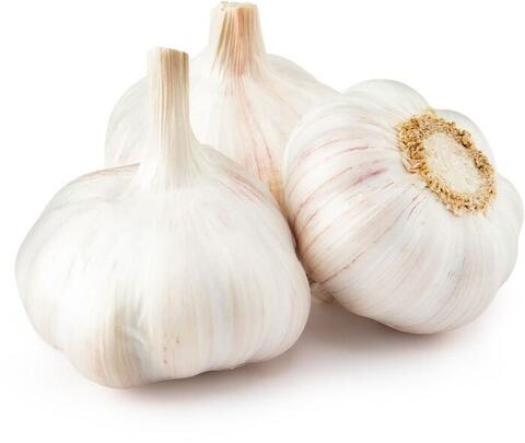 Чеснок
