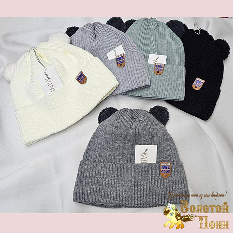 Шапка на хлопке м (5-10) 251019-Ш4051
