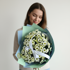 Солнечные сантинии