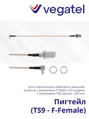 Пигтейл (TS9 - F-Female)