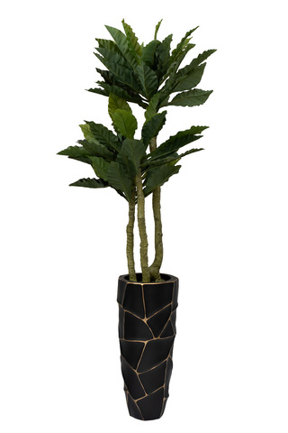 Папоротник гнездовой в горшке 150см Garda Decor