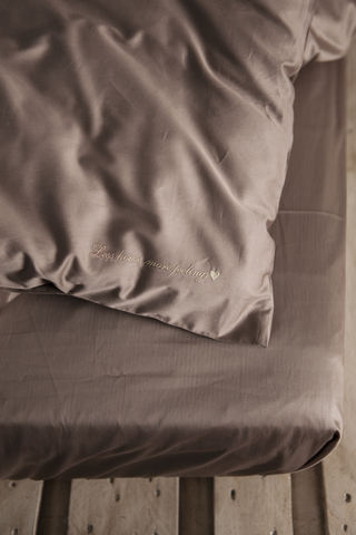 Постельное белье 1.5 спальное Luxberry Daily Bedding молочный шоколад