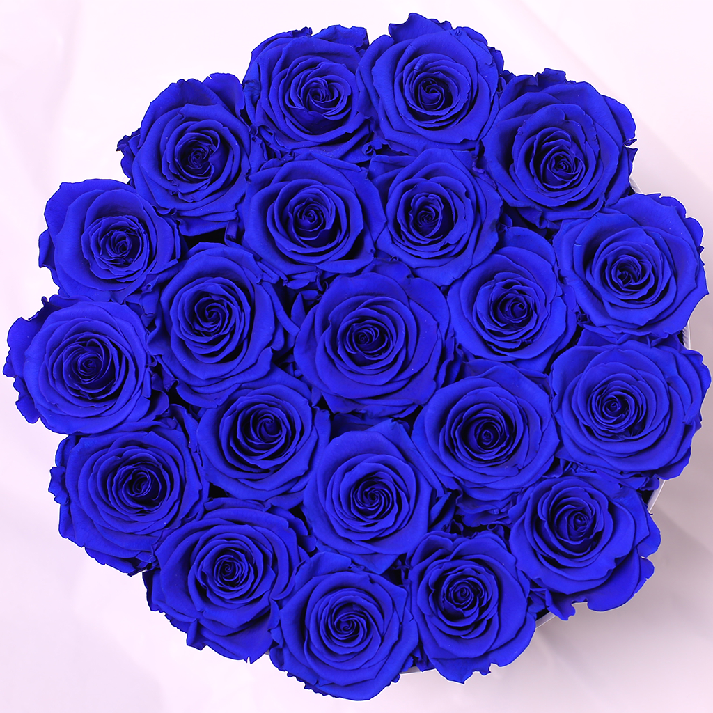 Красивые большие букеты. Синего 25. Букет 25 синих роз. Голубые розы букет. Букет 25 синих роз.
