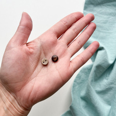 Пуговицы Кокосовые 9мм