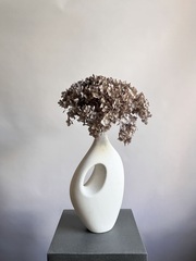 Гортензия стабилизированная коричневая