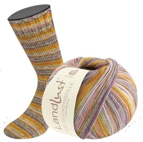 Пряжа Lana Grossa Landlust die Sockenwolle IV 812