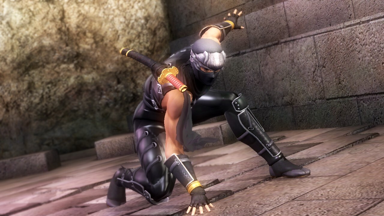 Ninja gaiden стим фото 66