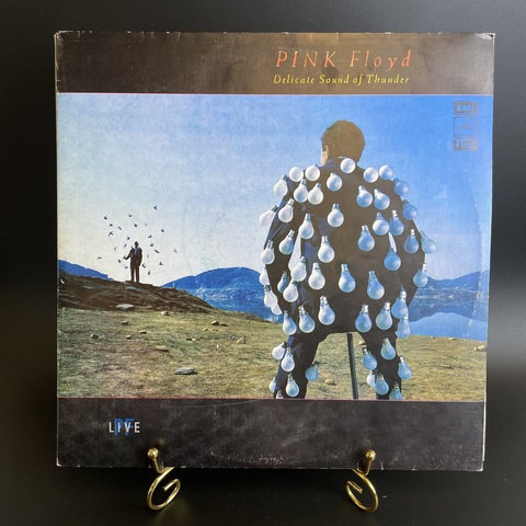 2 LP Pink Floyd - Delicate Sound Of Thunder , Repress, USSR, 1990 зарубежный рок Виниловые пластинки комплект 2 штуки