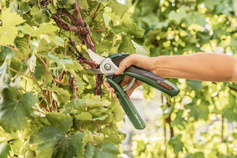 Аккумуляторные садовые ножницы Bosch EasyPrune (Упаковка: блистерная упаковка)