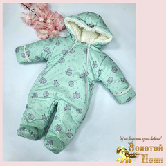 Комбинезон евро-мех (62-74) 241007-NV4417