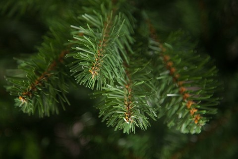 Искусственная елка Вирджиния 125 см зеленая