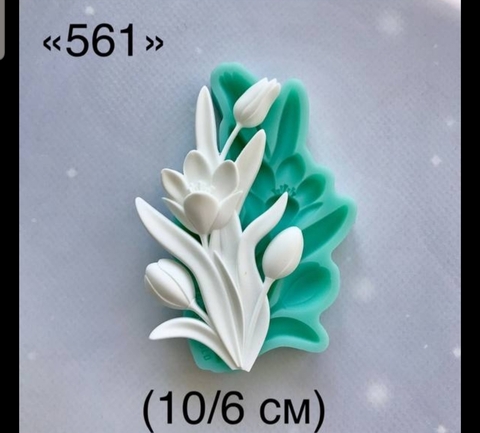 молд ТС №561 (10*6см)