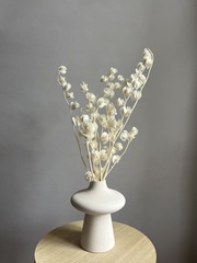 Физалис стабилизированный молочный