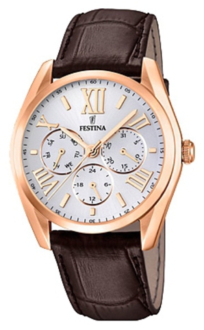 Наручные часы Festina F16754/1 фото