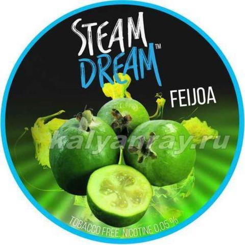 Steam Dream - Фейхоа