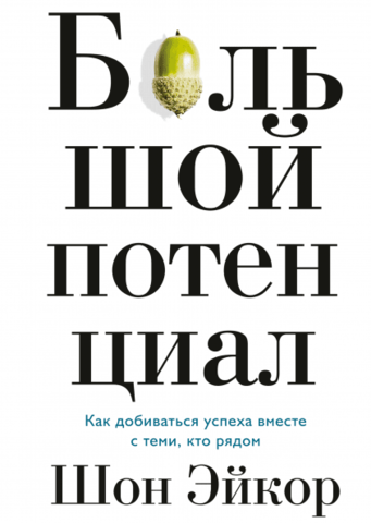 Большой потенциал. Как добиваться успеха вместе с теми, кто рядом | Эйкор Шон