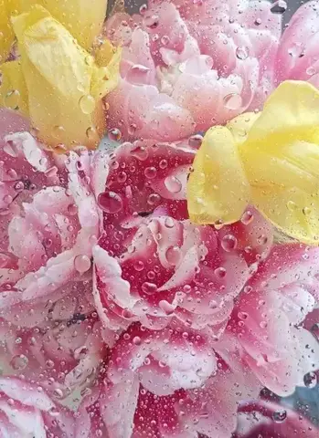 HydroPeptide Гранд-Люкс уход c эффектом круговой подтяжки и релаксации