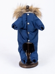 Royal Dog зимний костюм Королевский синий XL