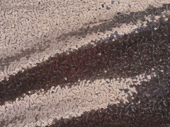 Пайетки на сетке 