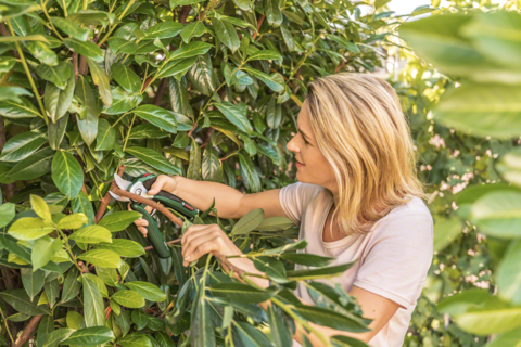 Аккумуляторные садовые ножницы Bosch EasyPrune (Упаковка: блистерная упаковка)