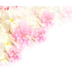 Панель потолочная ПВХ Novita 3D Эльза