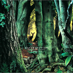 David Sylvian / Manafon (2LP)